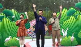 河源头条爆料新闻视频最新,最新爆料视频揭示惊人真相！